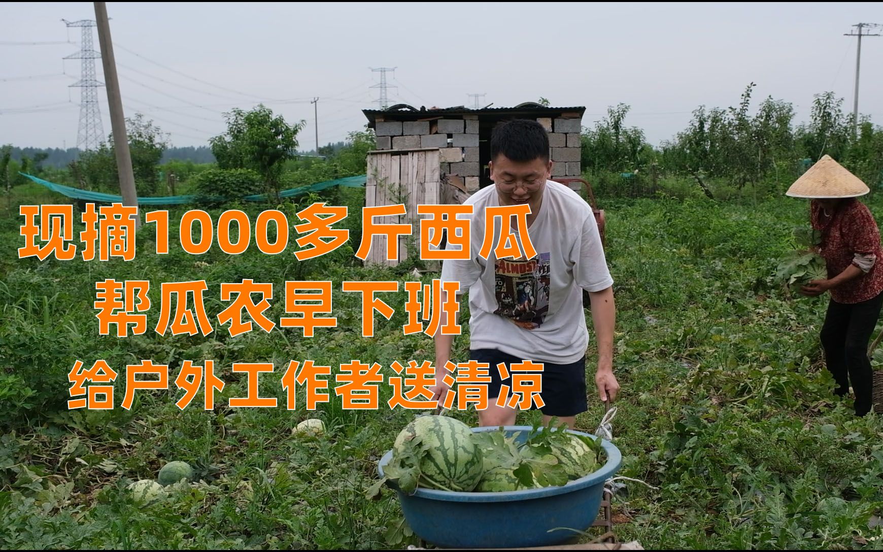入伏第一天，现摘1000多斤西瓜帮瓜农早下班，给酷暑下户外工作者送清凉