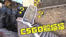 csgo躲猫猫：这个人是怎么敢的呀？电子竞技是不需要视力的吗？