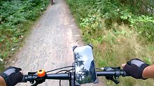【骑行德国】山林骑行，路遇倒地大树
