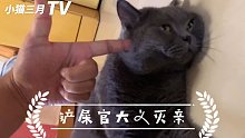 《今日猫法》——铲屎官大义灭亲，深夜里怒擒渣猫