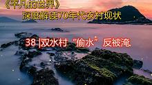 深度解读《平凡的世界》：双水村“偷水”反被淹 第三十八章