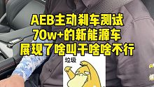 AEB主动刹车测试，70w+的新能源车干啥啥不行，图啥？