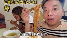 老三厨艺大增，红薯粉条做出Q弹辣香蚂蚁上树，一家人吃的真过瘾