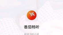 听评书听小说