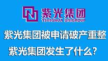 紫光集团被申请破产重整：破产重整和破产清算有什么不同？