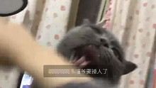 新乐器：屁 鼓