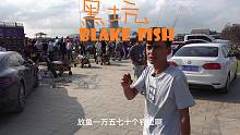 你们见过一条鱼俩个标吗！放鱼15000斤，给黑坑江湖超新星比赛踩场热身