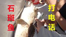 超大石斑鱼：妈妈，晚上不用煮我的饭了！！！