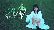 【原创】《抱歉》| 致伙伴