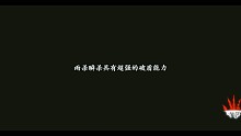 影之刃3，小葵单刷组队魔龙3钥