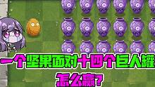 植物大战僵尸：一个坚果也能赢巨人？十四个巨人罐子该怎么办？