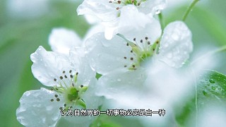 讀懂哲學(xué)之有聲讀物44