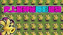 植物大战僵尸：史上最神秘暗影植物！”辣鸡之上，万人之下“！