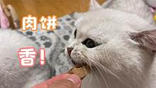肉饼的诱惑力到底有多大？看看猫的反应就知道了！