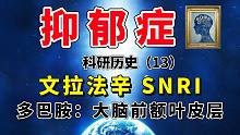【脑科学】抑郁症：文拉法辛、多巴胺、大脑前额叶皮层（科研历史13）