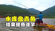 水库黑坑盘青鱼，结果暴雨鲤鱼连竿