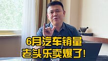 6月汽车销量 老头乐卖爆了！