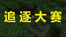 追 逐 大 赛