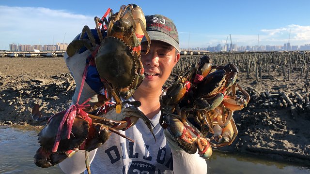 每月一天的大退潮终于来临,阿兴抱着爆桶的节奏赶海,如愿而归了
