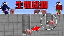 我的世界，但是需要把生物引到洞洞里
