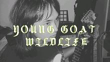 YOUNG GOAT - WILDLIFE 【Music Video】