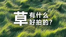 一片草地如何拍大片？原图直出让你惊呼“卧槽”！【第一视角拍摄】