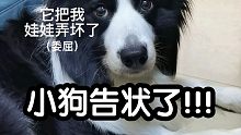 真是清官难断家务事啊。。。