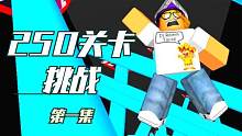 口袋Roblox罗布乐思：250关卡你挑战了吗？第一集