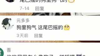 大家的貓也一直搖尾巴嗎？大疑問。