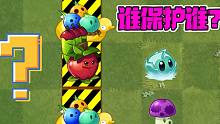 植物大战僵尸：神器苹果迫击炮被小喷菇保护？到底是谁保护谁？