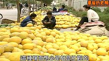 1998年新疆哈密市：这就是一部新疆美食纪录片
