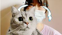 猫：妈！别打119，我就跳个楼！
