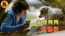 贪财狗狗抢银行，每天叼钞票回家，主人高兴坏了！喜剧片