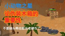 【小动物之星】论伪装木箱的重要性