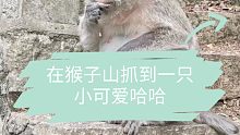 在山上遇到到一只小可爱