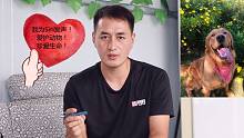 【金毛Siri】事件的惨痛教训背后，宠物托运真的有黑幕？
