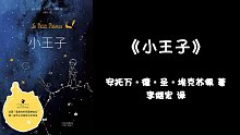 【睡前故事】《小王子》第二章|就这样，我认识了小王子。