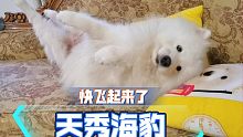 作为一只精致的小海豹，出门一定要好好打理一下！