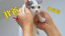 3年前不让养猫的老爸，现在抱着小猫不撒手！