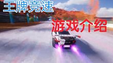 【张氏传人】王牌竞速 游戏介绍