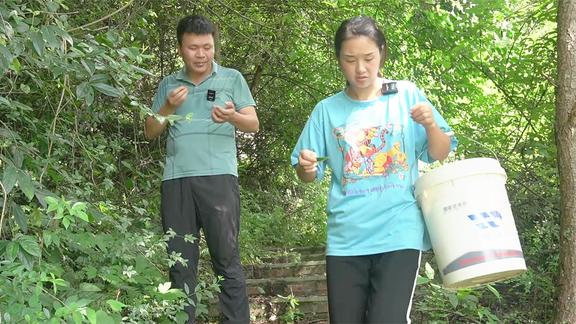 双妹掰了两根嫩包谷煮稀饭，再凉拌个小菜，老公说这才是夏天标配