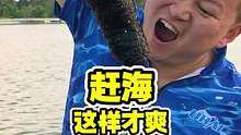 赶海，这样才爽嘛