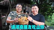 冬宝搞了一篮子枞菌，邀请河南小伙来品尝，感受一下真正的大山味