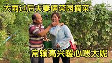 夫妻俩菜园摘菜，大妮边摘边唠叨要喂猪，临走常输不忘讨好大妮