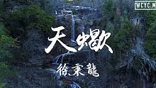 徐秉龙 - 天蝎「从不承认对我有喜欢 天蝎好像天生爱试探」【動態歌詞/Lyrics Video】
