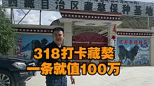 318打卡藏獒，一条就值100万！