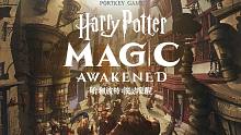 「哈利波特：魔法觉醒」试玩实况