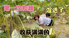大姐带着女儿来鱼塘抠藕，没想到今天收获满满的，妹妹帮忙好开心
