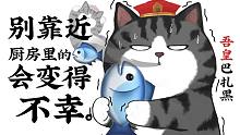 猫点访谈：鱼袭击猫事件【吾皇巴扎黑】