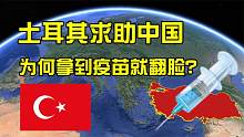 土耳其向中国求助，拿到疫苗后却翻脸，转身朝中国“泼脏水”！